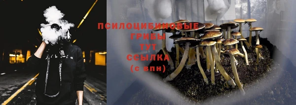 стаф Алексеевка
