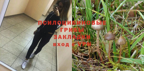 стаф Алексеевка