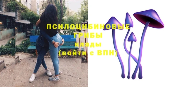 стаф Алексеевка