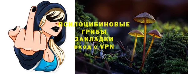 стаф Алексеевка